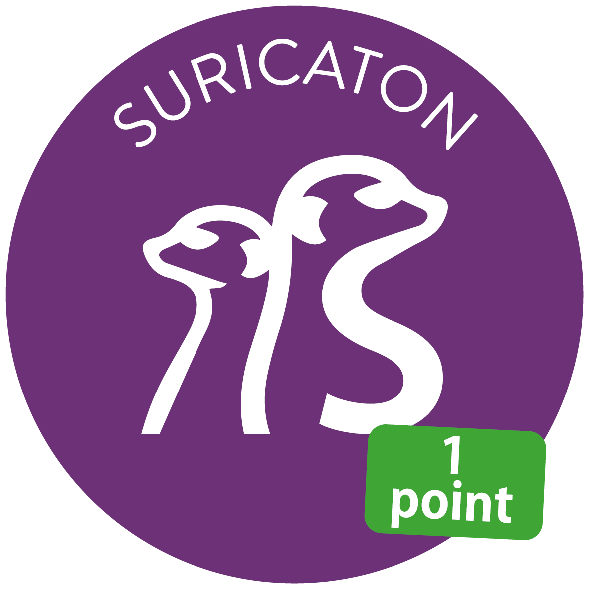 Suricaton