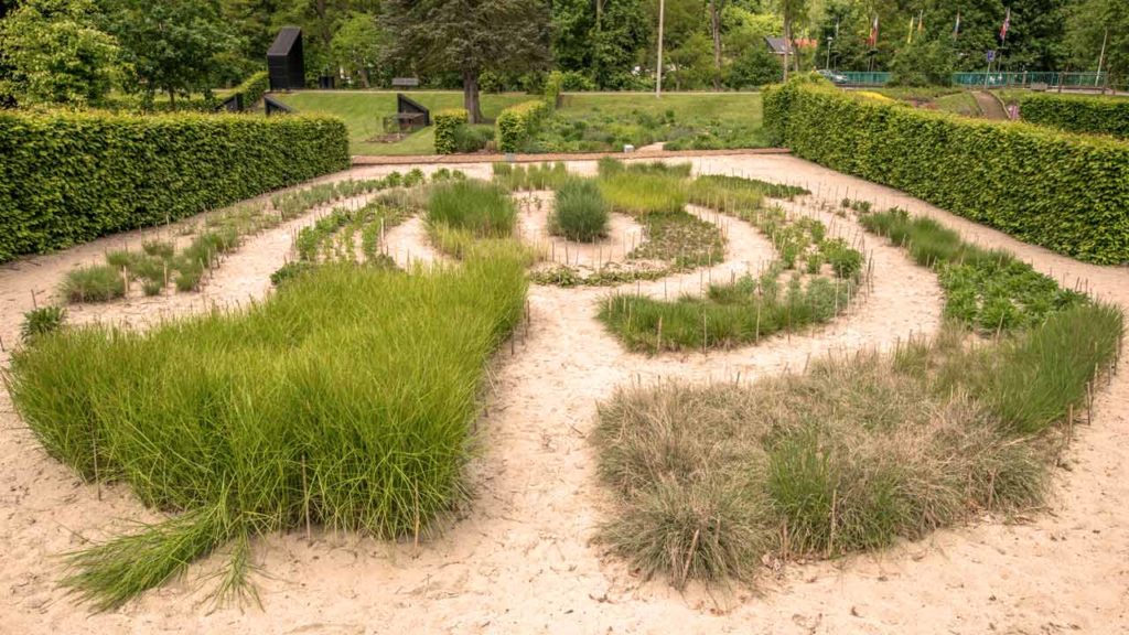 Jardin labyrinthe