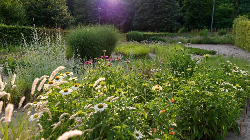 Jardin de prairie